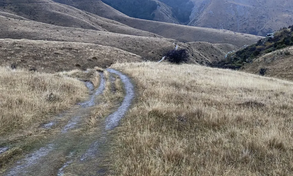 Sawpit Gully - German Hill, Otago