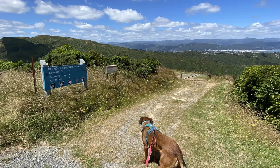 Caribbean Baked Beans , Wellington