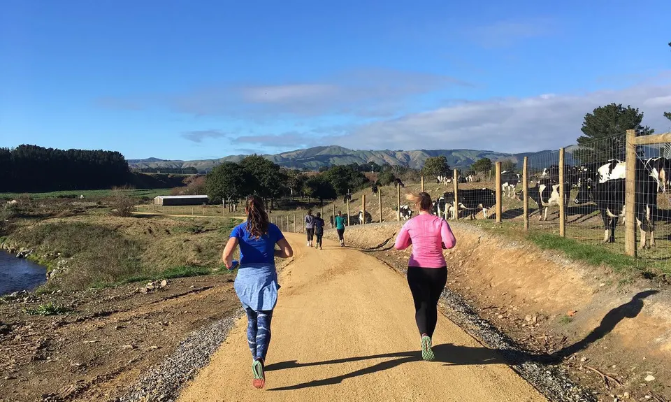 He Ara Kotahi - Bridge to Linton , Manawatu - Wanganui