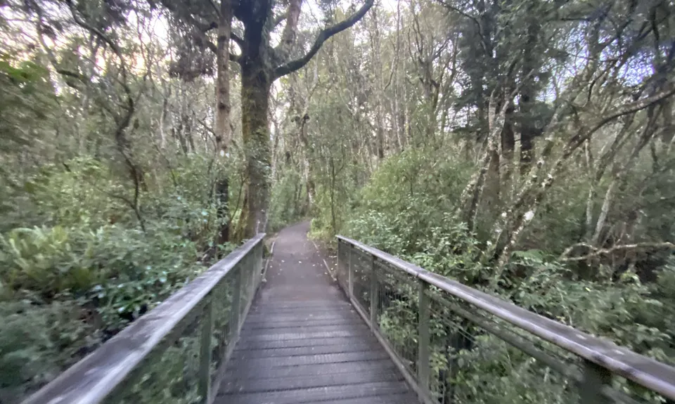 Ohakune Town/Forest Loop, Manawatu - Wanganui
