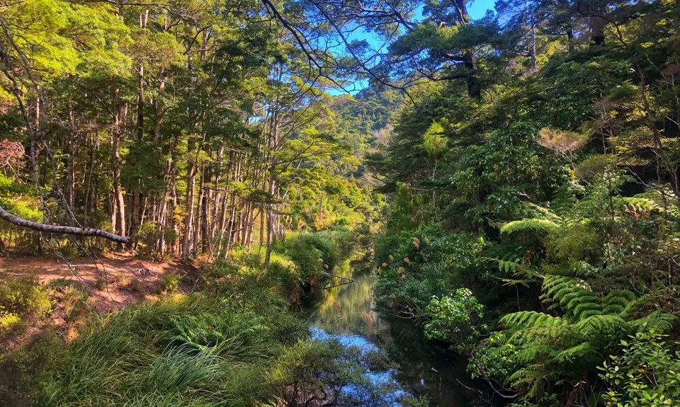 Butterfly Creek Loop, Wellington