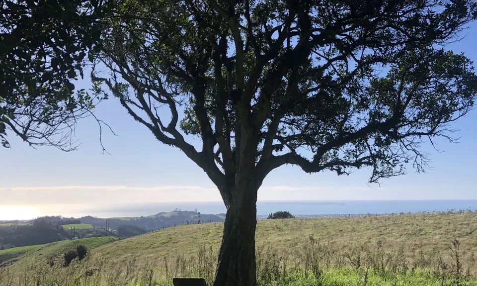 Otawa Trig, Bay of Plenty