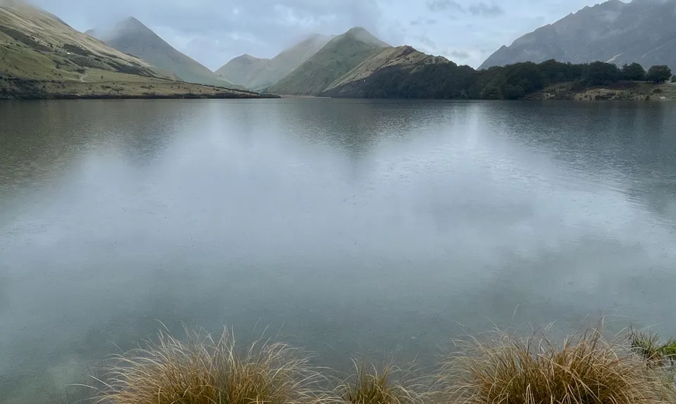 Felic Rising, Otago
