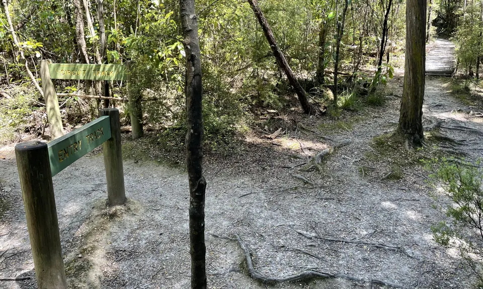 Fensham Reserve Loop, Wellington