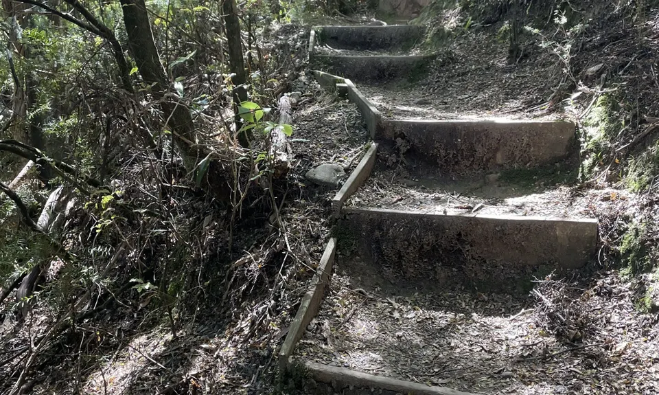 Fensham Reserve Loop, Wellington