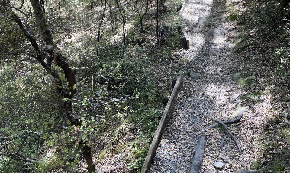 Fensham Reserve Loop, Wellington