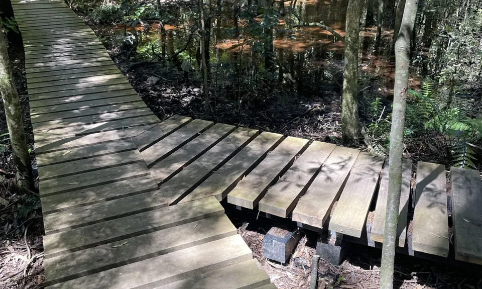 Fensham Reserve Loop, Wellington