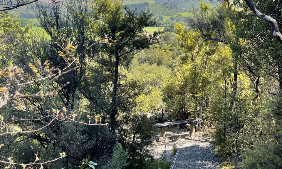 Fensham Reserve Loop, Wellington