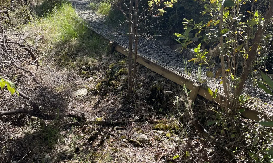 Fensham Reserve Loop, Wellington