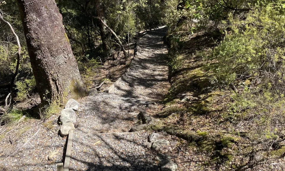 Fensham Reserve Loop, Wellington