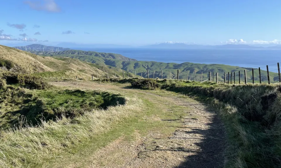 Colonial Knob - All the Hills, Wellington