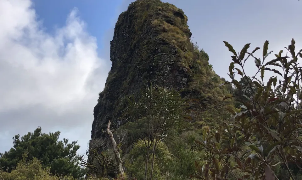 Pirongia Loop of Awesomeness, Waikato