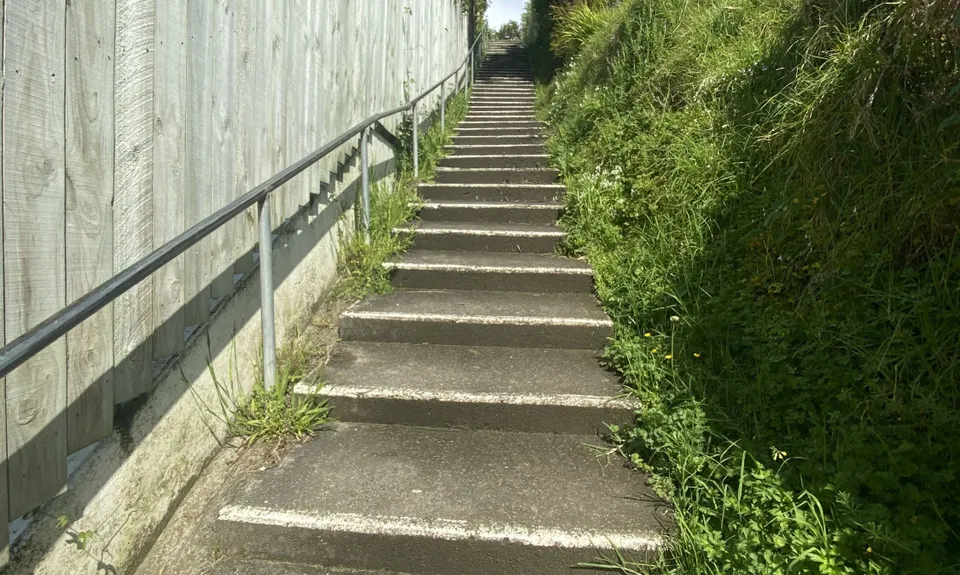 Campbells to Browns Bay, Auckland