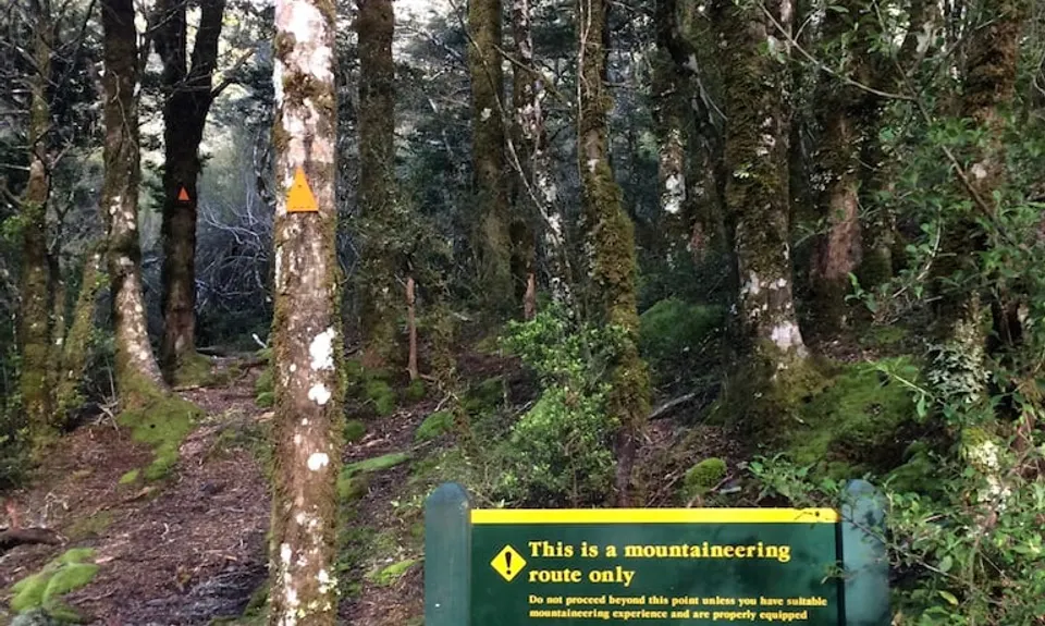 Rome Ridge/Rough Creek Alpine Circuit, Canterbury