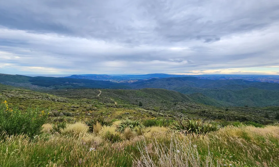 Flagstaff Swampy Circuit, Otago