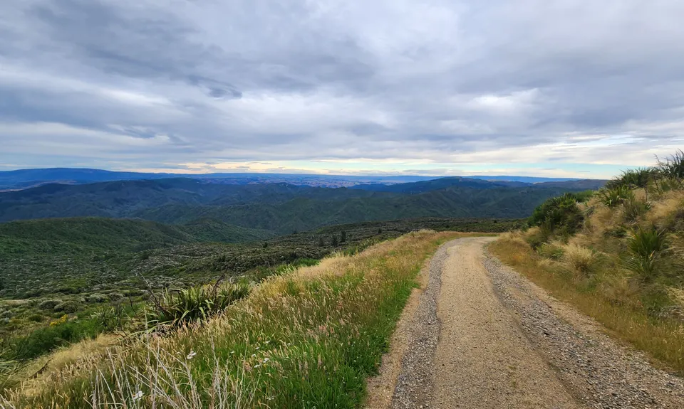 Flagstaff Swampy Circuit, Otago