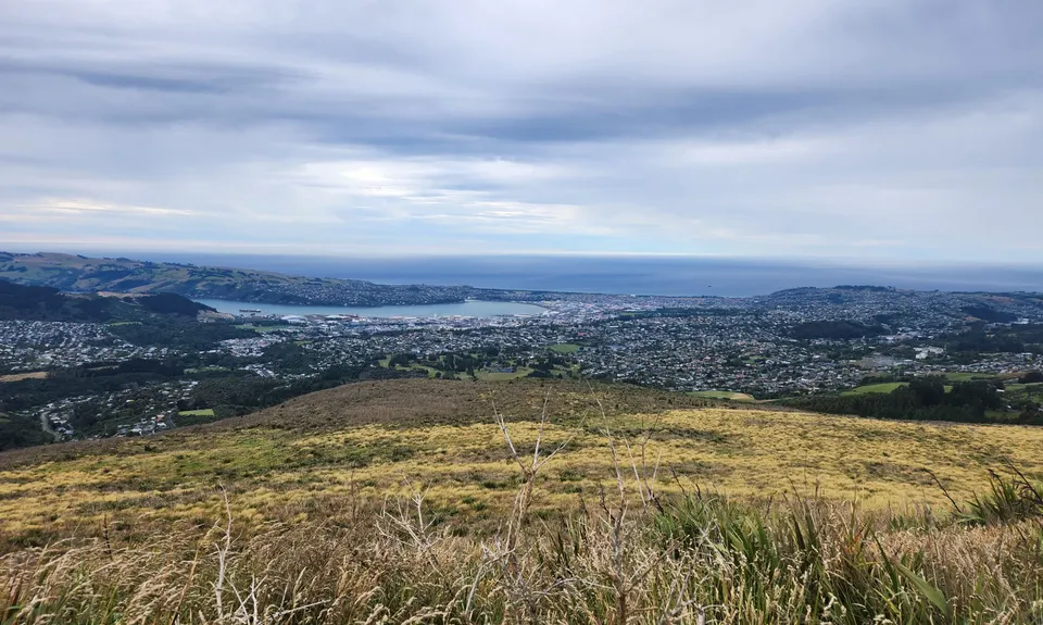 Flagstaff Swampy Circuit, Otago