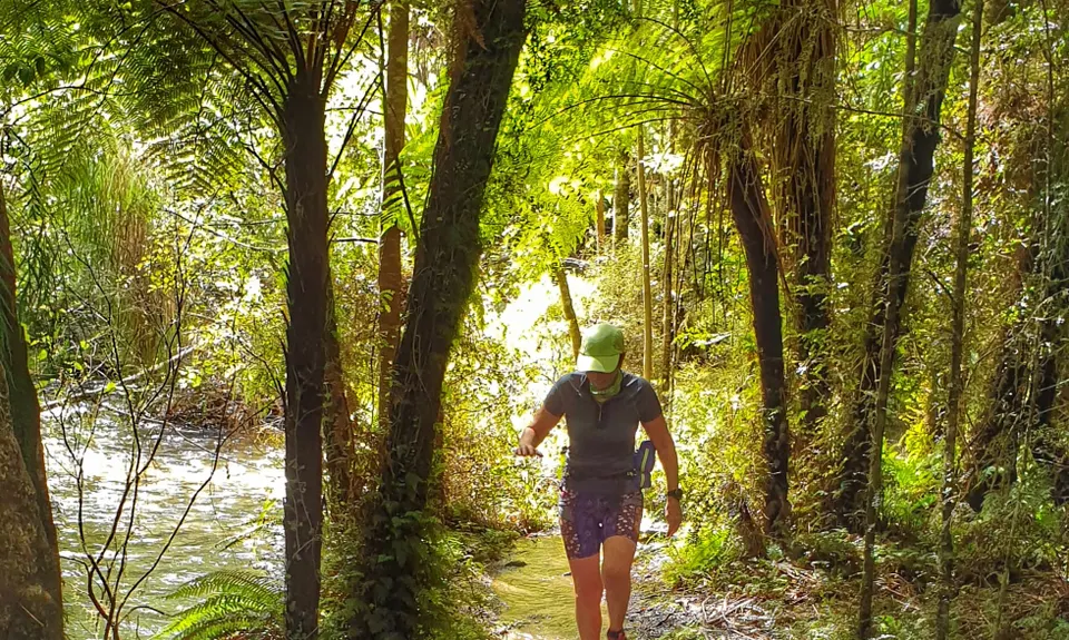 Maitai Cave Track, Nelson