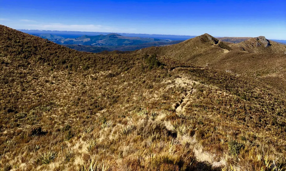 Silverpeaks Classic Loop, Otago