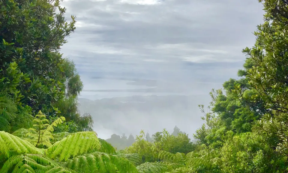 Mt Tamahunga, Auckland