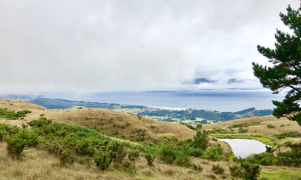 Tamahunga to Pakiri Beach, Auckland