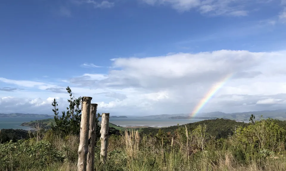 Not my left eye, it's Maraetai!, Auckland