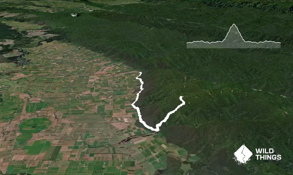 Galatea foothills and Tawhiuau, Bay of Plenty