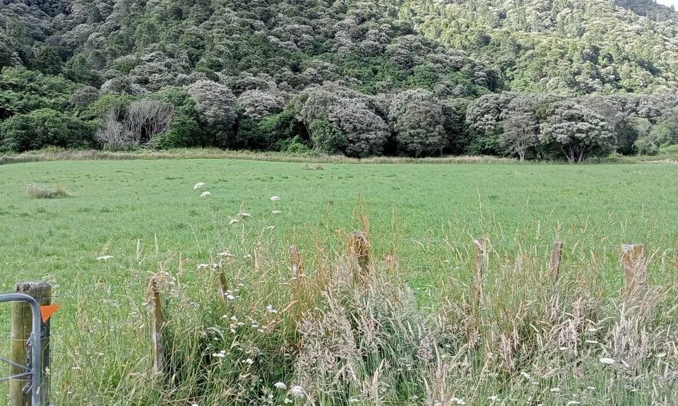 Galatea foothills and Tawhiuau, Bay of Plenty