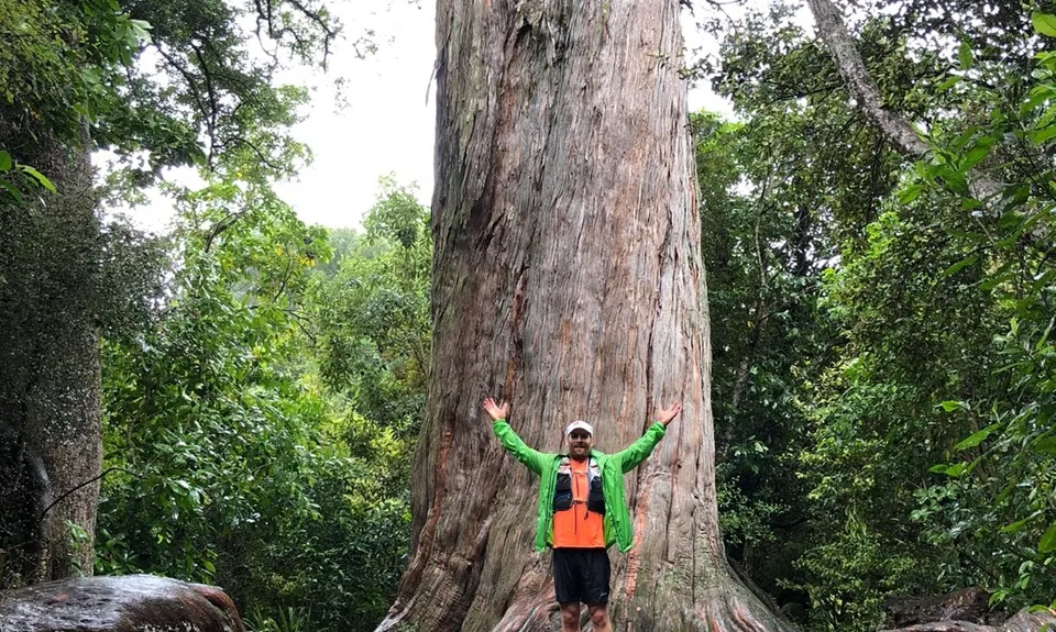 Peel Forest Tiki Tour, Canterbury
