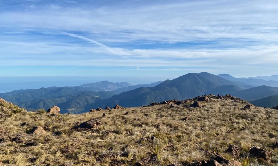 Dun Mountain Loop, Nelson