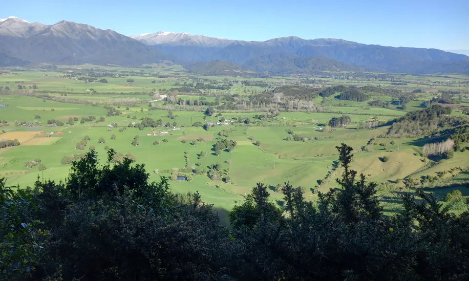 Low Hanging Fruit, Tasman