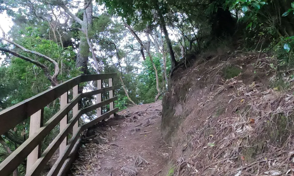 Arapuni Swing Bridge to Jones Landing , Waikato