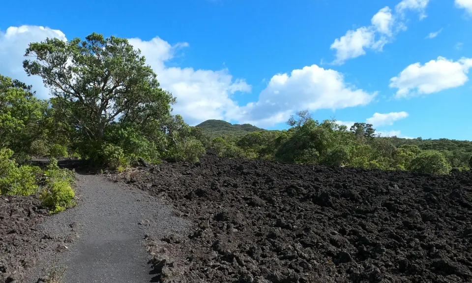 Rangitoto Romp, Auckland