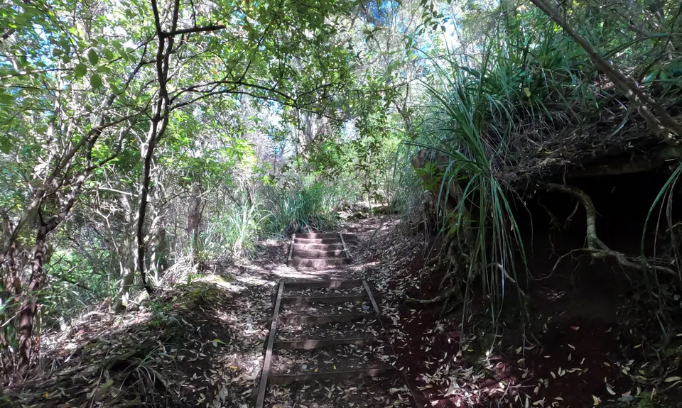 Rangitoto Romp, Auckland