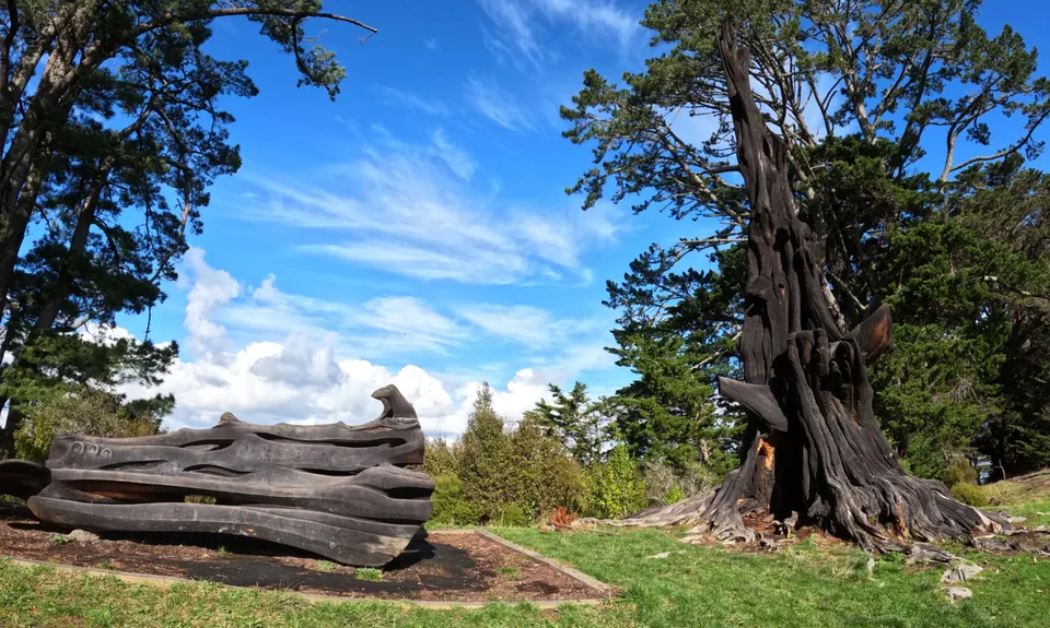 Sanders Reserve, Auckland