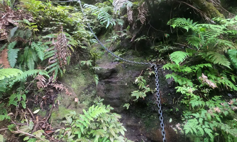 Tawarau River, Waikato