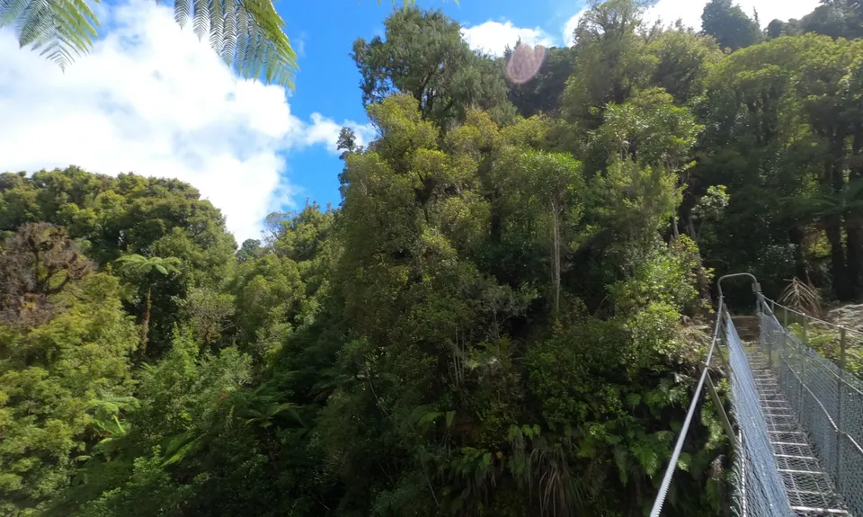 Tawarau River, Waikato
