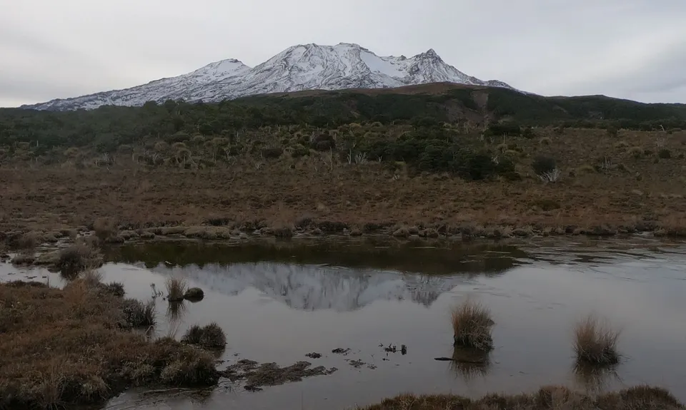 Blyth Hut and Beyond , Manawatu - Wanganui