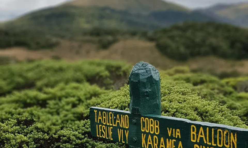 Arthur & Gordons, Tasman