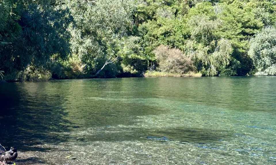 Great Lake Trail Loop, Waikato