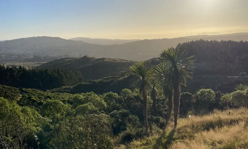 Grenada Grindertron, Wellington