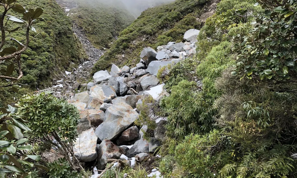 Holly Hutt Track, Taranaki