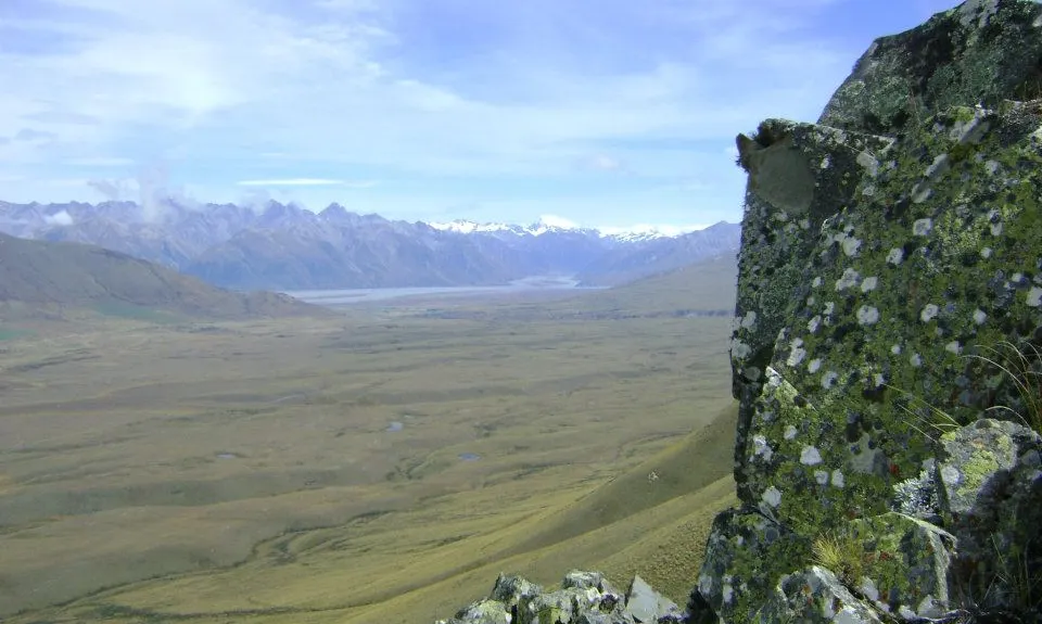 Mt Guy, Canterbury