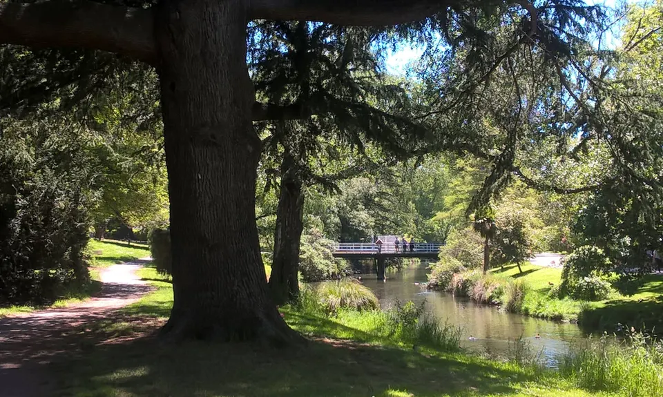 Avon - Source to Surf, Canterbury