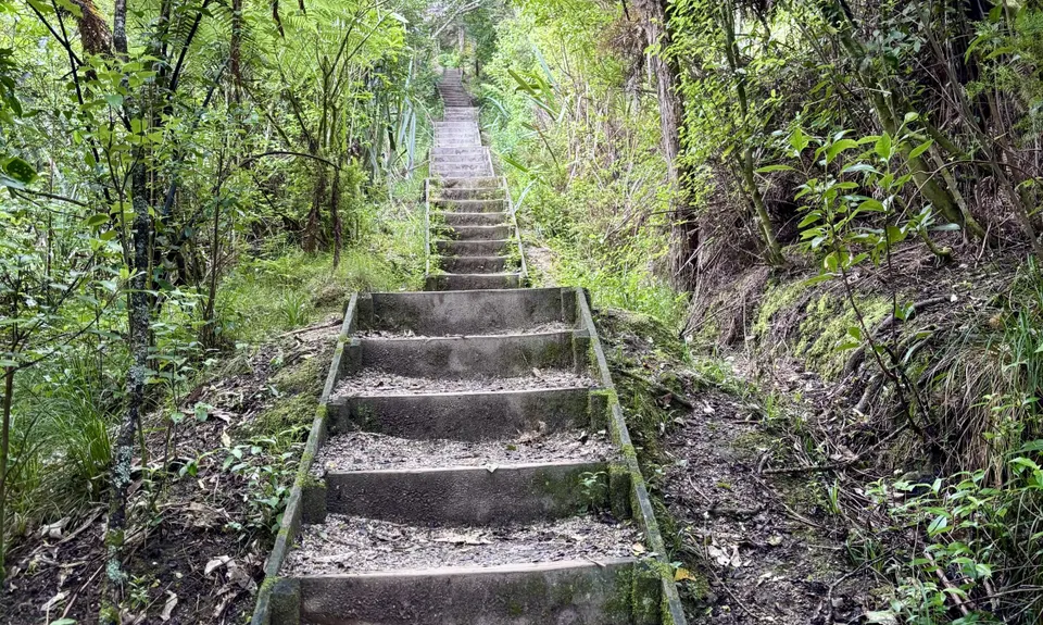 Hakarimata N-S Full Trail Loop , Waikato