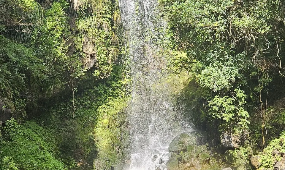 Harker Reserve to Vivian Falls, Waikato