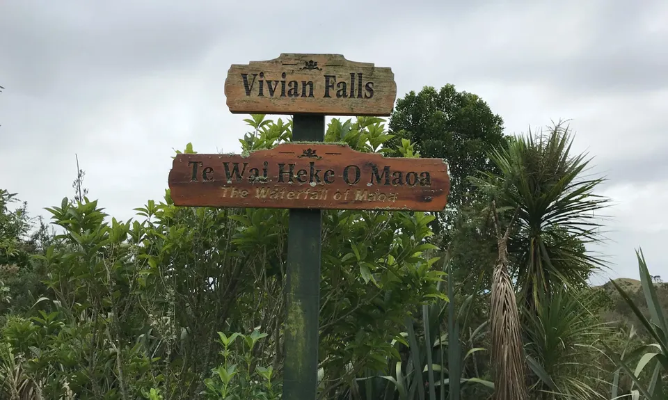 Harker Reserve to Vivian Falls, Waikato