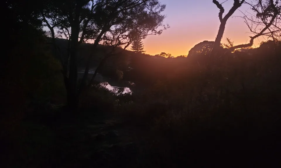 Haruru Falls Trek , Northland