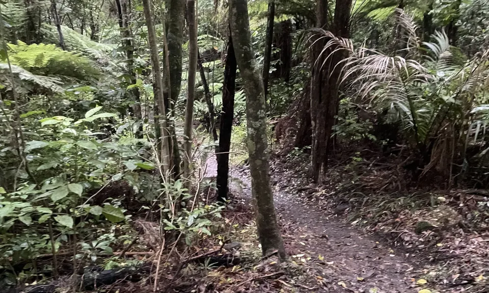 Haruru Falls Trek , Northland