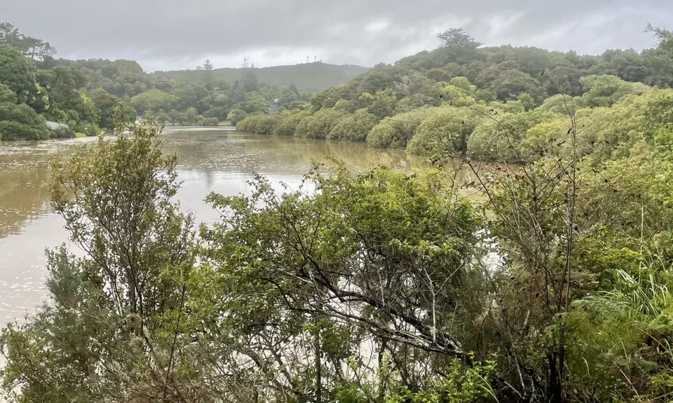 Haruru Falls Trek , Northland